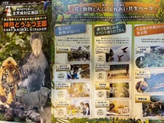 今日から８月。毎日暑いですね。
どこに行こうか悩んだら、「神戸どうぶつ王国」をオススメします。
室内なので、この暑い夏でも安心して過ごすことができますよ♪
可愛い動物と触れ合って癒しのひと時を・・・

当館にてお得なチケットの販売もございます。
お気軽にお問合せください。

#神戸どうぶつ王国

#神戸三宮ユニオンホテル
#神戸
#lovehyogo
#ビジネスホテル
#unionhotel
#kobe
#三宮